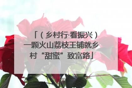 （乡村行·看振兴）一颗火山荔枝王铺就乡村“甜蜜”致富路