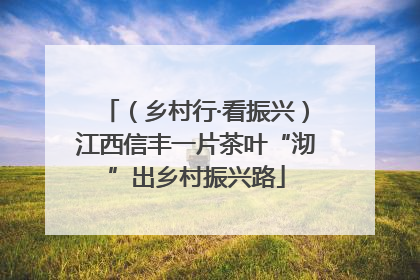 （乡村行·看振兴）江西信丰一片茶叶“沏”出乡村振兴路