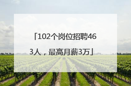 102个岗位招聘463人，最高月薪3万