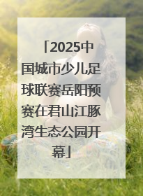2025中国城市少儿足球联赛岳阳预赛在君山江豚湾生态公园开幕
