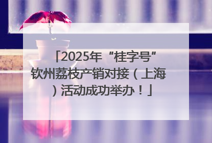 2025年“桂字号”钦州荔枝产销对接（上海）活动成功举办！