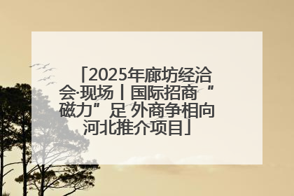 2025年廊坊经洽会·现场丨国际招商“磁力”足 外商争相向河北推介项目