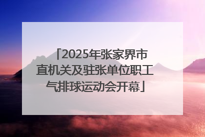2025年张家界市直机关及驻张单位职工气排球运动会开幕