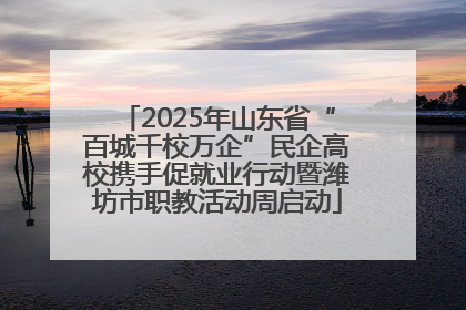 2025年山东省“百城千校万企”民企高校携手促就业行动暨潍坊市职教活动周启动