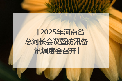 2025年河南省总河长会议暨防汛备汛调度会召开