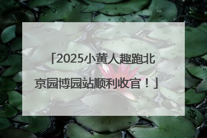 2025小黄人趣跑北京园博园站顺利收官！