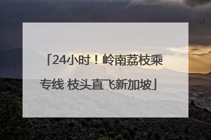 24小时！岭南荔枝乘专线 枝头直飞新加坡