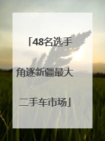 48名选手角逐新疆最大二手车市场