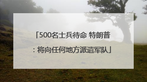 500名士兵待命 特朗普：将向任何地方派遣军队