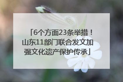 6个方面23条举措！山东11部门联合发文加强文化遗产保护传承