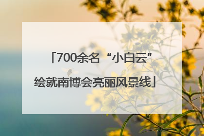 700余名“小白云”绘就南博会亮丽风景线