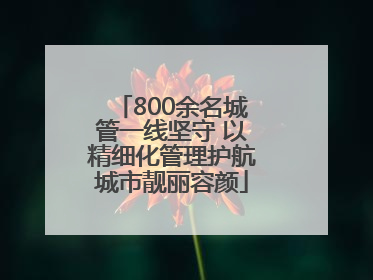 800余名城管一线坚守 以精细化管理护航城市靓丽容颜