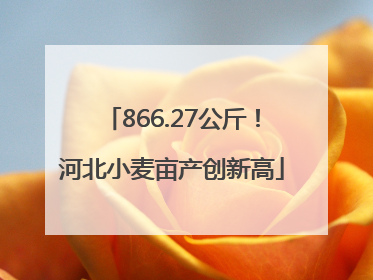 866.27公斤！河北小麦亩产创新高