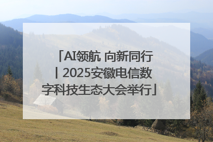 AI领航 向新同行丨2025安徽电信数字科技生态大会举行